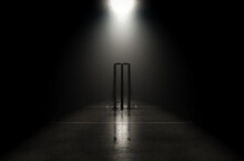 Futuristic Cricket Wickets