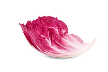 Wall Mural - Radicchio leaf, red salad isolated on white