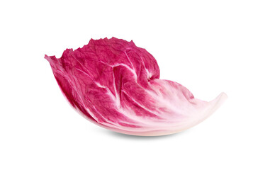 Poster - Radicchio leaf, red salad isolated on white