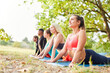 Gruppe Leute im Yoga Kurs machen Dehnübung