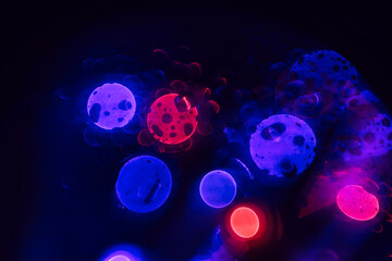 Poster - Beautiful bokeh abstract colored  Background texture for design.