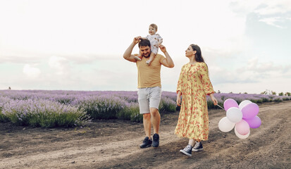 Dad and mom, parents play with their little son in a lavender field. Summer day.