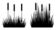 Set Of Silhouettes Of Reeds In The Grass.