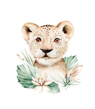Africa Watercolor Savanna Lion, Animal Illustration. African Safari Wild Cat Cute Exotic Animals Face Portrait Character. Isolated On White Poster Design