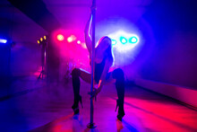 Attractive Young Sexy Female Pole Dancer Performs