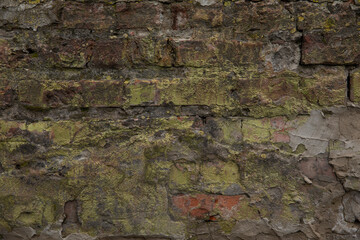 Wall Mural - Old stone background with traces of mold. Brick background