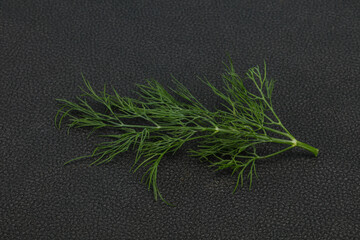 Fresh green dill herb branch