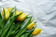 yellow tulips flower on white crumpled cloth background with copy space