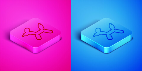 Poster - Isometric line Balloon dog icon isolated on pink and blue background. Square button. Vector