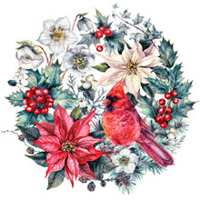 Watercolor Christmas Card With Cardinal Bird And Poinsettia.