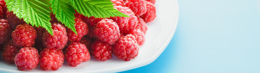 Wall Mural - Fresh ripe raspberries in a plate banner