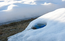Blue Well Pipe Cover Among Melting Snow In March