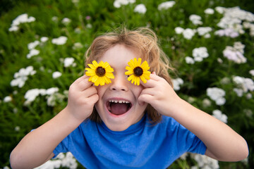 Funny Boy Kid and Daisies. Happy little blond hair child with flowers eyes on the grass with daisies flowers. Child dreaming and smiling against camomile field.