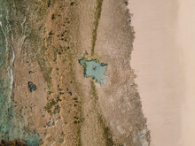 Man Inside A Natural Pool On The Beach Shore Top View Aerial Drone Shot. Fuerteventura, Canary Islands