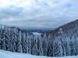 © kato08 - Winter view of snow covered hills in Karawanks mountains in Gorenjska, Slovenia and a spruce forest covered in snow in front on a cloudy dy