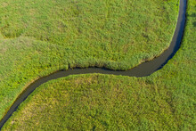 Aerial View Of A Narrow Creek Winding Through Lush Green Reeds
