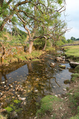 Wall Mural - View of the countryside around Malham Cove in the Yorkshire Dales National Park