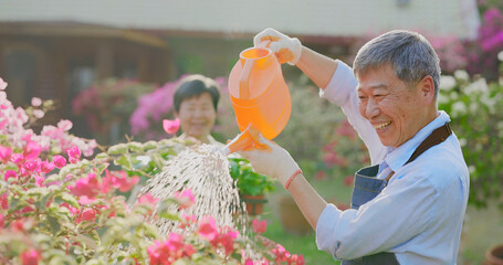 Poster - senior man watering the garden