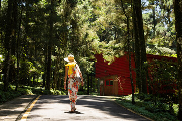 Wall Mural - woman hiking in the forest at Xitou