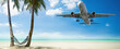 Flugzeug - Urlaub - Meer - Strand - Palmen 