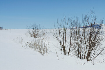 winter landscape, snow and blue sky