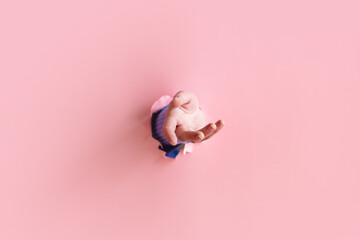 female hand sticking out of pink background