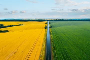 Aerial top view of rural road passing through agricultural land and cultivated fields.