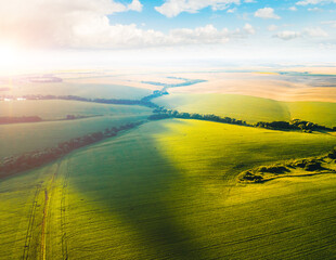 Aerial top view of green rural area in sunny day.