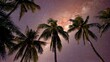 Low angle view of tropical coconut palm trees silhouetted against the Milky Way in a  a beautiful night sky.
