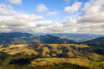 Aerial view of bright green spruce and yellow autumn trees in fall forest and distant high mountains.