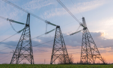 power lines in the spring in a green wheat field