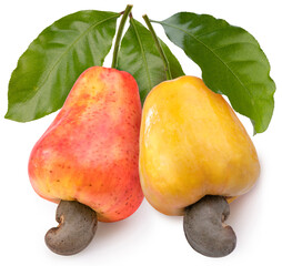 Wall Mural - fresh cashews and cashew nut with leafs on a white background, fresh cashew nut on white background 