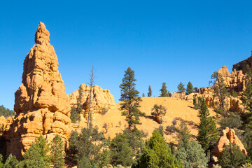 The Red Canyon, Utah, USA