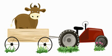 Red Tractor And Cow In Cart