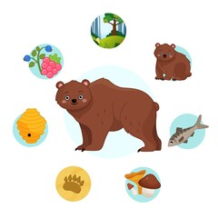 Sticker - Vector illustration of forest animals. Cute cartoon bear. Set of icons. 