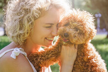 Adorable Maltipoo Puppy In Arms Of Its Loving Owner. Adult Woman Outdoors Playing With Her Small Adorable Doggy In The Park. A Hybrid Between The Maltese Dog And Miniature Poodle. Close Up, Copy Space