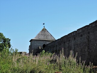 Wall Mural - Old fortress and summer meadow