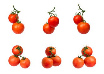 collection of tomatoes on the vine isolated on white background	