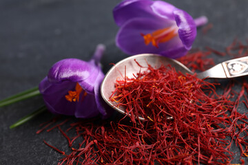 Dried saffron and crocus flowers on grey table, closeup