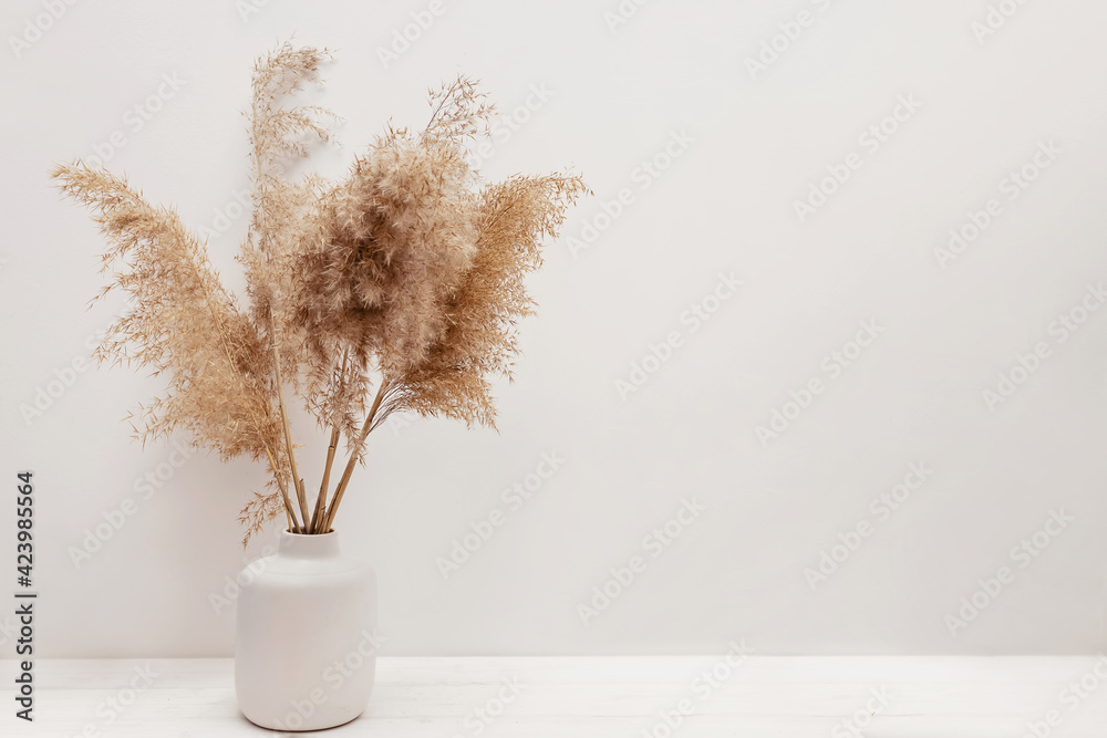Pampas grass in a vase near white wall. - obrazy, fototapety, plakaty 