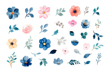 Watercolor floral and leaves element collection