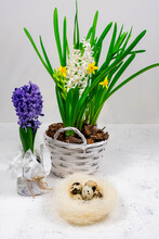 A Decorative Nest Made Of Hay With Quail Eggs Inside. Against The Background Of Yellow Daffodils And Blue Hyacinths. Easter Table Decoration. Easter Holiday Concept.