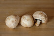 Pilze: Drei Weiße Champignons (Zuchtchampignon - Lat.: Agaricus bisporus)