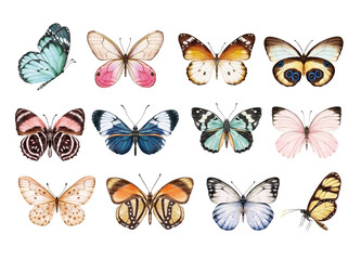 watercolor colorful butterflies, isolated on white background. blue, yellow, pink and red butterfly 