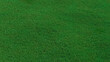 © RocknRoller Studios - Green grass texture background. A perfectly manicured Sports field / Pitch / Garden Lawn wallpaper.