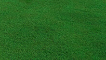 Green Grass Texture Background. A Perfectly Manicured Sports Field / Pitch / Garden Lawn Wallpaper.  