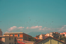 Surrealistic View Of Flying Birds Over Roofs Of Colourful Houses In Antibes