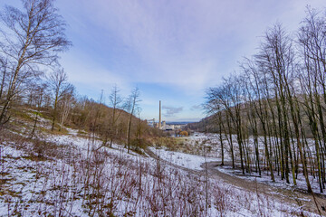 Wall Mural - Hillside, bare trees and traces of snow on the ground with an industrial complex in the background in the Dutch forest of Sint. Pietersberg, winter day in South Limburg, Netherlands