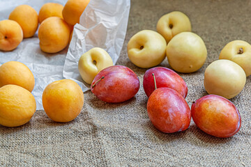 Wall Mural - still life of apricots, plums and nectarines close up