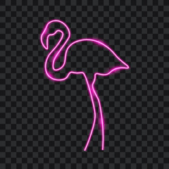 Wall Mural - Flamingo neon sign, isolated on transparent background, vector illustration.